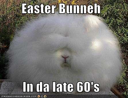 Funny Easter Bunnies